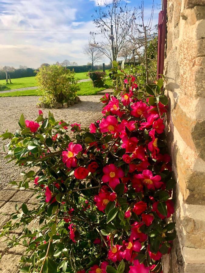 Greener Pastures - Normandy Self Catering Gites La Chapelle-Engerbold エクステリア 写真