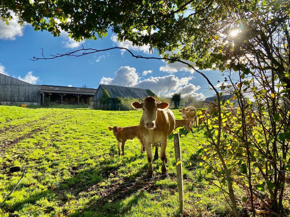 Greener Pastures - Normandy Self Catering Gites La Chapelle-Engerbold エクステリア 写真