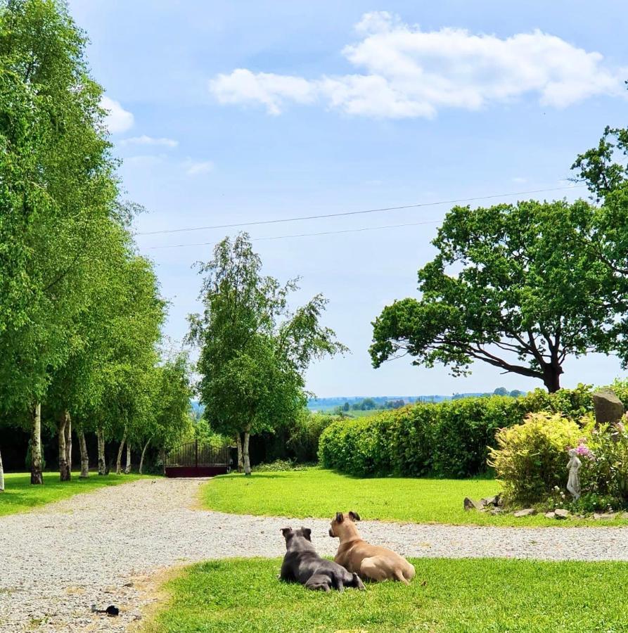 Greener Pastures - Normandy Self Catering Gites La Chapelle-Engerbold エクステリア 写真